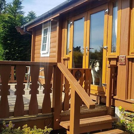 Cabin Apartment Trawsfynydd ภายนอก รูปภาพ