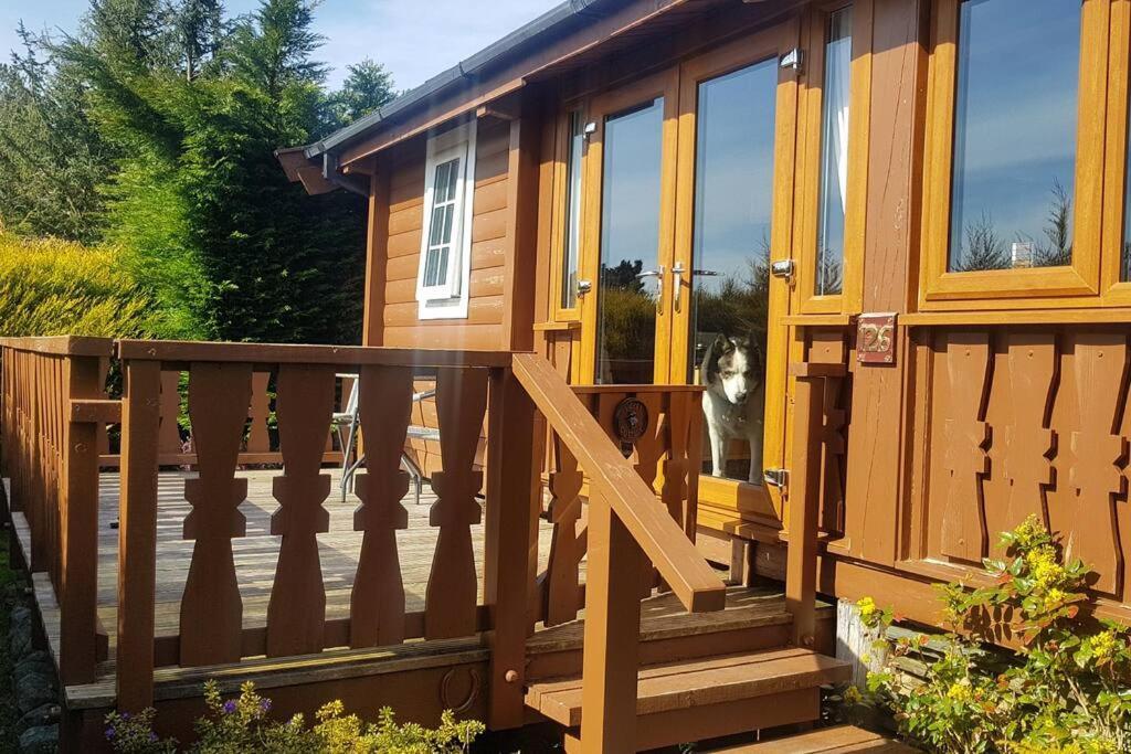 Cabin Apartment Trawsfynydd ภายนอก รูปภาพ